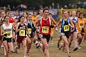 2010CIF XC GD5-1508